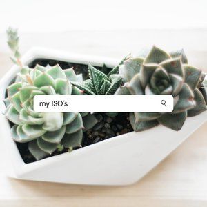 Everything I'm ISO🌿